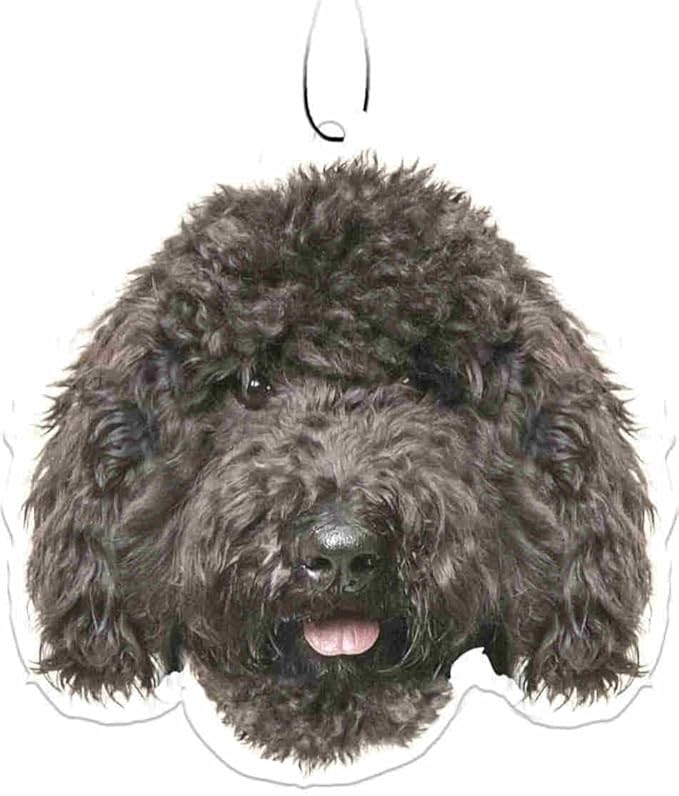 Spoontiques Black Labradoodle Air Freshener
