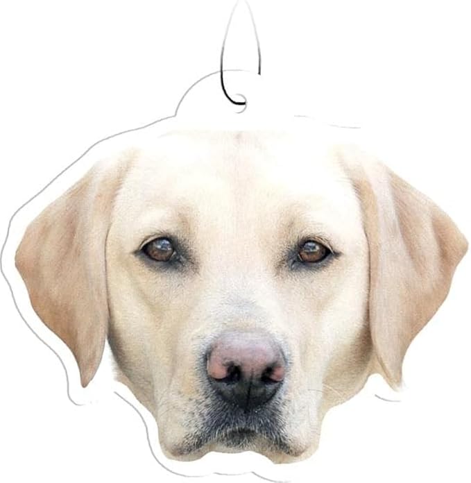 Spoontiques Yellow Lab Air Freshener (3pk) - Dog Themed Car Interior Accessories & Essentials - Hanging Deodorizer, Long-Lasting Fragrance (New Car Scent)