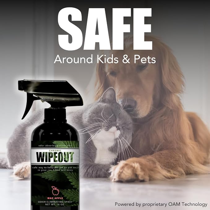 Chronic Wipeout Smoke Smell Eliminator for Home, Cars, Hands, Hair, Clothes, & More | Smoke Odor Eliminating Spray for All Kinds of Strong Smoke | Gifts for Smokers - Bamboo Teak 2 Pack (16 oz)