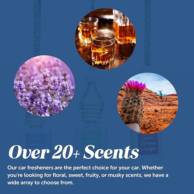 CANDECraftCo Car Air Hanging Fragrance Oil, Car Auto Freshener for Essential Oils, Scents Fragrance Aromatherapy Automobile Diffuser, Long Lasting (Hawaiian Sunset)