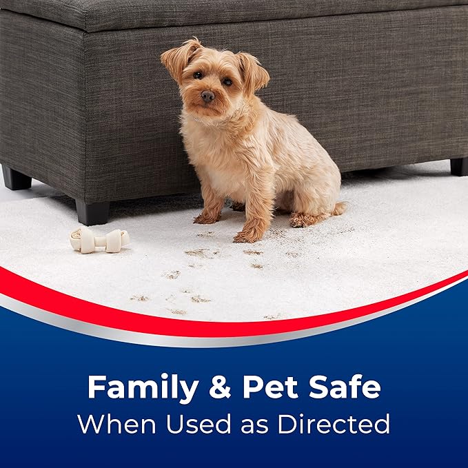 Woolite® Advantage INSTAclean™ Pet Stain Remover - 2 Pack, 3322