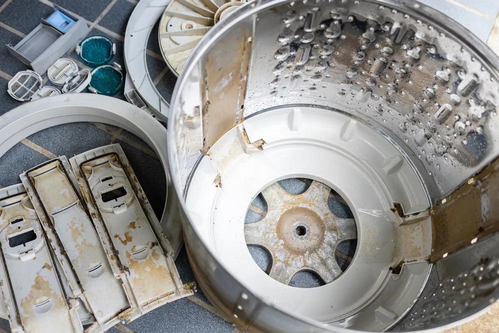 How Often Should You Clean Your Washing Machine?