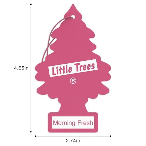 LITTLE TREES Car Air Freshener | Hanging Tree Provides Long Lasting Scent for Auto and Home | 24 Air Fresheners |Morning Fresh