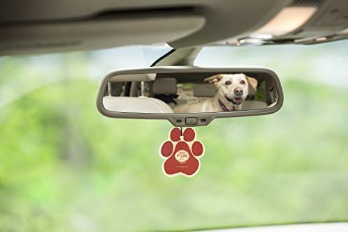 Pet House Car Air Freshener by One Fur All, Pack of 4 – Apple Cider - Non-Toxic Auto Air Freshener, Pet Odor Eliminating Air Freshener for Car, Ideal for Small Spaces, Dye Free Dog Car Air Freshener