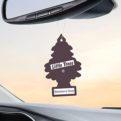 LITTLE TREES Car Air Freshener | Hanging Tree Provides Long Lasting Scent for Auto and Home | 24 Air Fresheners |Blackberry Clove