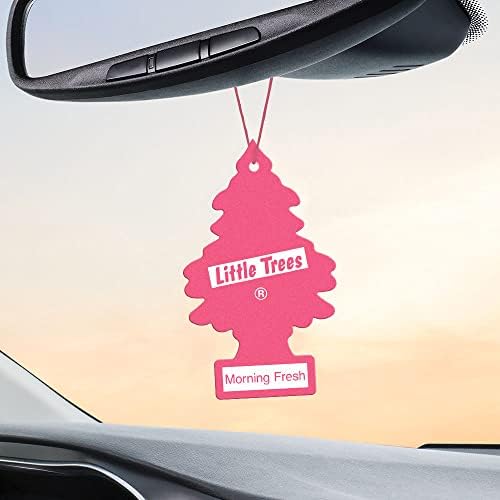 LITTLE TREES Car Air Freshener | Hanging Tree Provides Long Lasting Scent for Auto and Home | 24 Air Fresheners |Morning Fresh