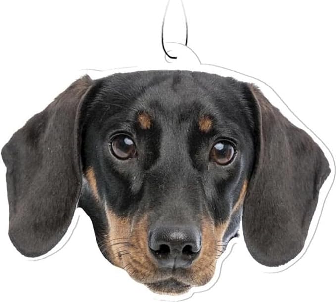 Spoontiques Dachshund Air Freshener (3pk) - Dog Themed Car Interior Accessories & Essentials - Hanging Deodorizer, Long-Lasting Fragrance (New Car Scent)