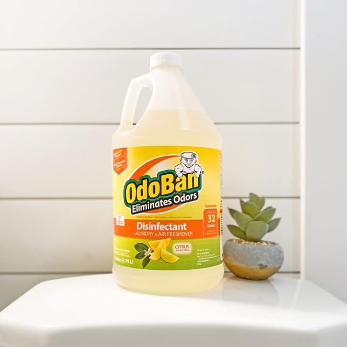 OdoBan Aroma Eliminator Set, Made in the USA, 10 Ounce 360-Degree Continuous Spray Natural Oil Real Citrus Air Freshener and 1 Gallon Multipurpose Disinfectant Cleaning Concentrate, Orange Scent