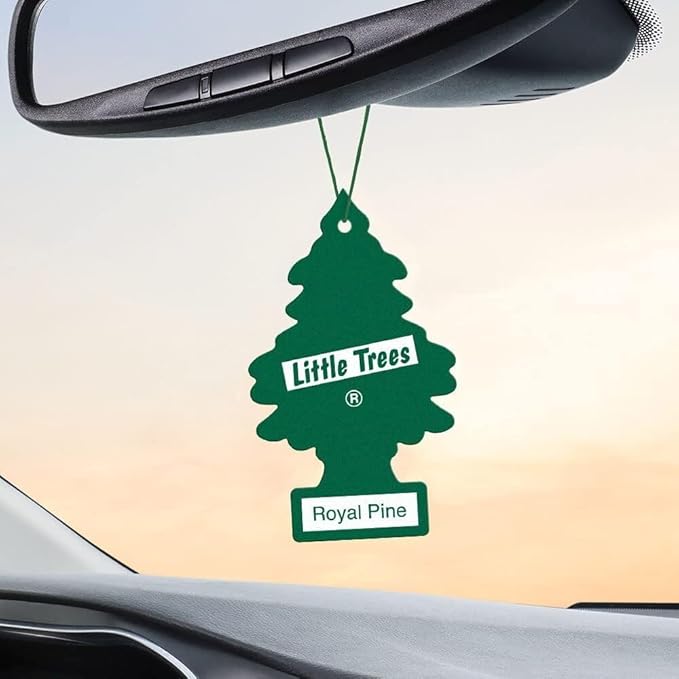 LITTLE TREES Car Air Freshener | Hanging Paper Tree for Home or Car | Royal Pine | 6 Pack