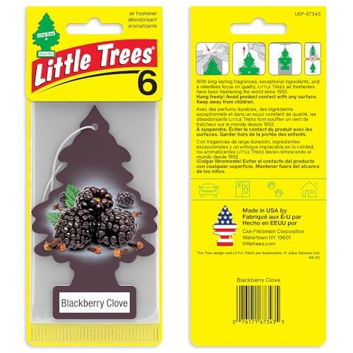 LITTLE TREES Car Air Freshener | Hanging Tree Provides Long Lasting Scent for Auto and Home | 24 Air Fresheners |Blackberry Clove