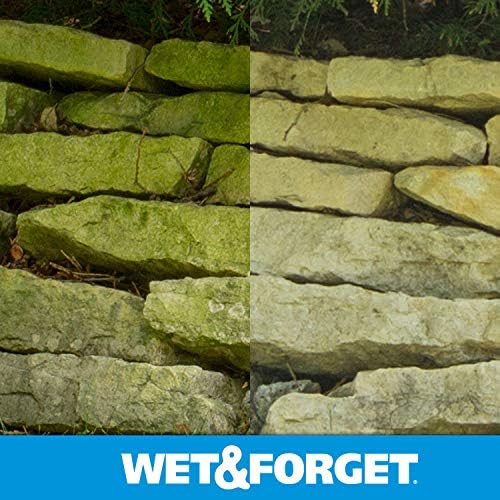 Wet & Forget Moss, Mold, Mildew, & Algae Stain Remover Multi-Surface Outdoor Cleaner Concentrate, Original, 64 Fluid Ounces (2 Pack)