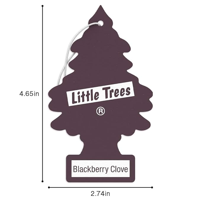 LITTLE TREES Car Air Freshener | Hanging Tree Provides Long Lasting Scent for Auto and Home | 24 Air Fresheners |Blackberry Clove