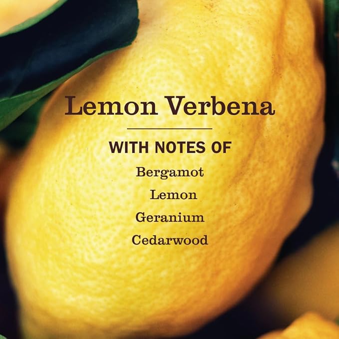 Mrs. Meyer's Multi-Surface Concentrate Lemon Verbena, 32 OZ (Pack of 2)
