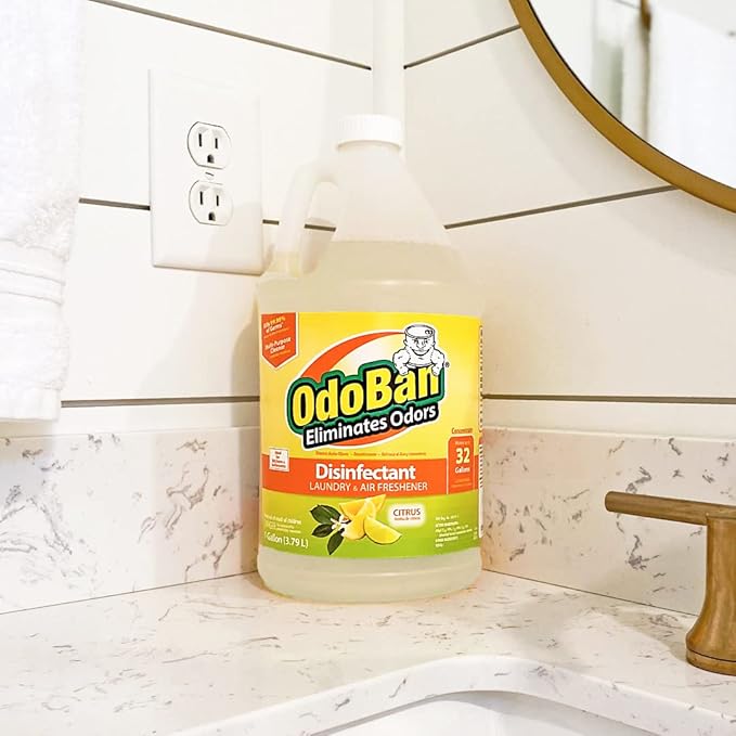 OdoBan Aroma Eliminator Set, Made in the USA, 10 Ounce 360-Degree Continuous Spray Natural Oil Real Citrus Air Freshener and 1 Gallon Multipurpose Disinfectant Cleaning Concentrate, Orange Scent