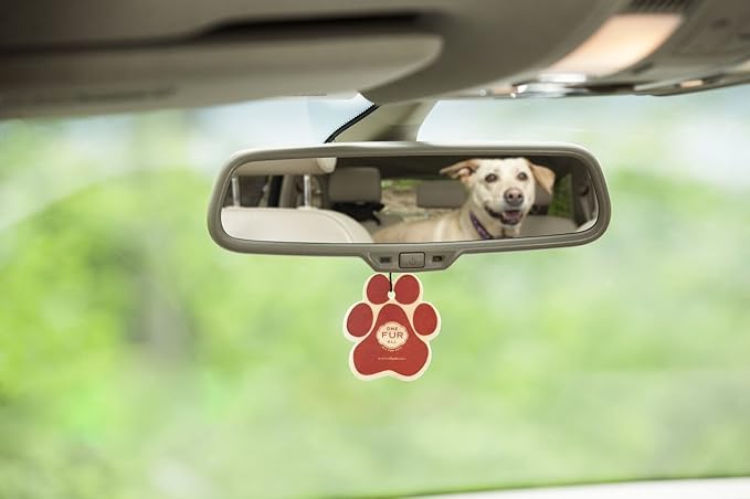One Fur All Pet House Car Air Freshener - Variety Pack Pack of 4 - Non-toxic Car Air Freshener - Pet-Friendly Air Freshener For Small Spaces & Car - Hanging Odor Eliminating Air Freshener