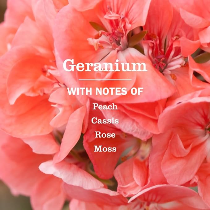 MRS. MEYER'S CLEAN DAY Multi-Surface Everyday Cleaner, Geranium Scent, 16 Ounce Bottle, Pack of 3
