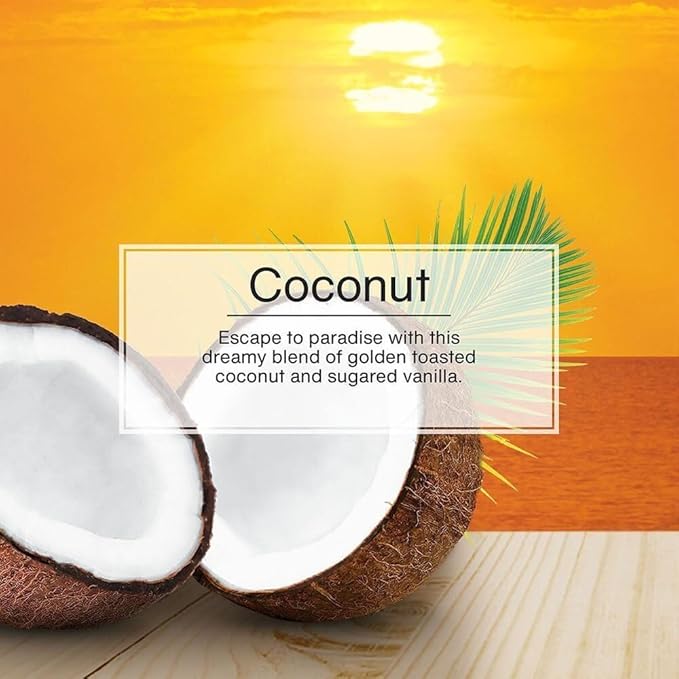 LITTLE TREES Car Air Freshener | Hanging Paper Tree for Home or Car | Pina Coconut | Pack 6
