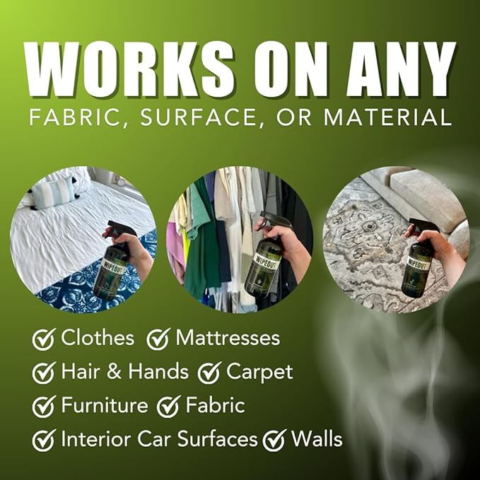Chronic Wipeout Smoke Smell Eliminator for Home, Cars, Hands, Hair, Clothes, & More | Smoke Odor Eliminating Spray for All Kinds of Strong Smoke | Gifts for Smokers - Bamboo Teak 2 Pack (16 oz)