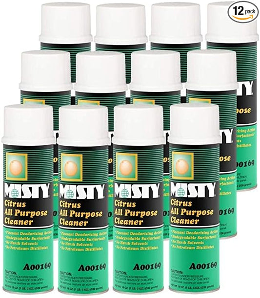 MISTY Citrus All-Purpose Cleaner - 19 oz (Case of 12) 1001583 - Biodegradable Aerosol, For Indoor and Outdoor Use, Fresh Citrus Scent