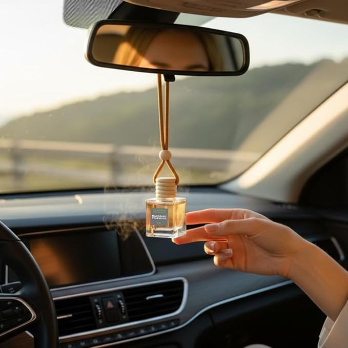 Car Diffuser with Refill included | Car scented on the go | Car Air Freshener Hanging | Long Lasting Fragrance | Phthalate Free Fragrance. (Ocean Breeze)