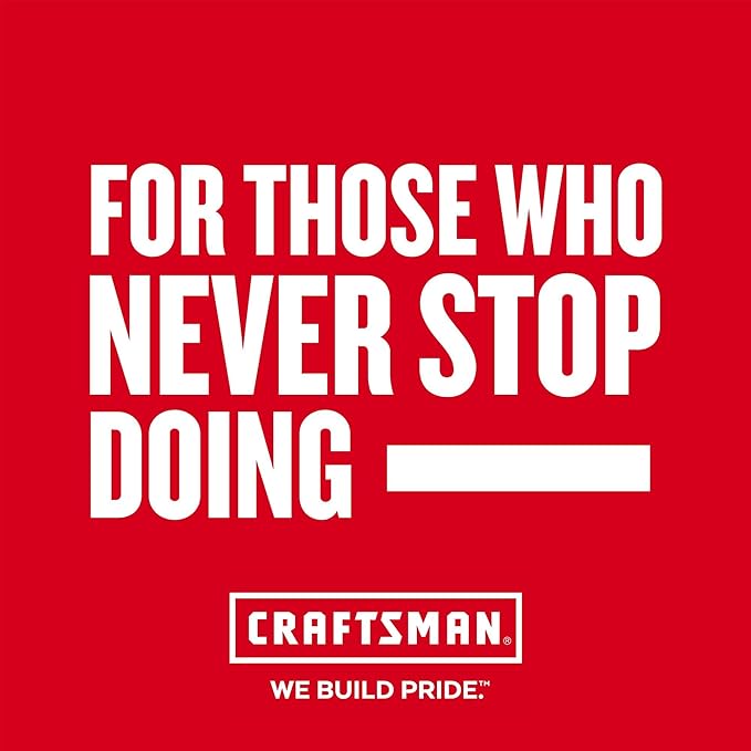 CRAFTSMAN 20V Hand Vacuum Replacement Filter (CMCVHF10)