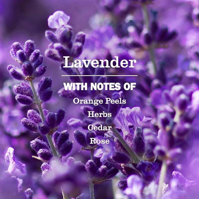 MRS. MEYER'S CLEAN DAY Fabric Freshener, Lavender scent, 20 Ounce Bottle