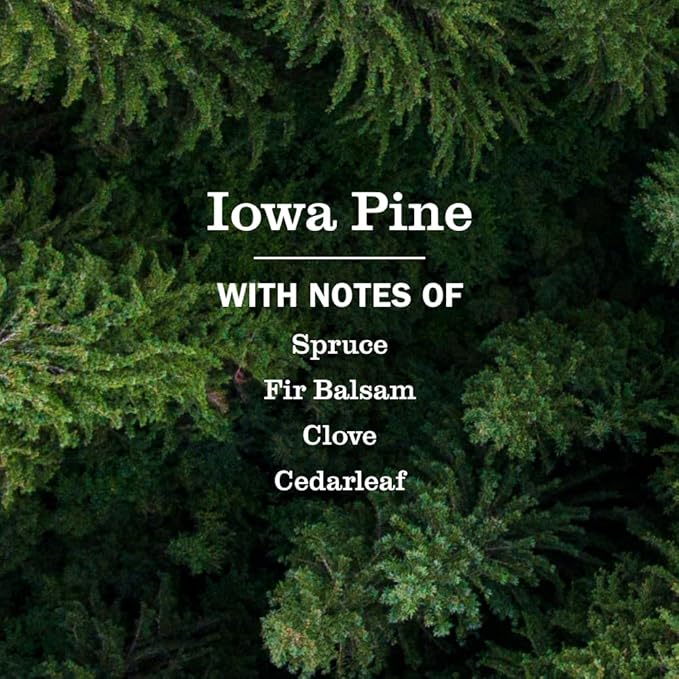 MRS. MEYER'S CLEAN DAY Room Spray, Iowa Pine Scent, 8 Fl Oz Bottle - 3 Pack