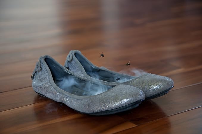 Flat Liners: Thin Activated Carbon Charcoal Foot Odor Eliminators for Stinky Smelly Shoes,1 Pair