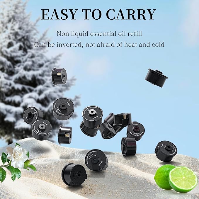 Kwak's Essential Oil Refills - Natural French Fragrance, Car Diffuser Dedicated Refill(2 packs) (Blue Ocean)
