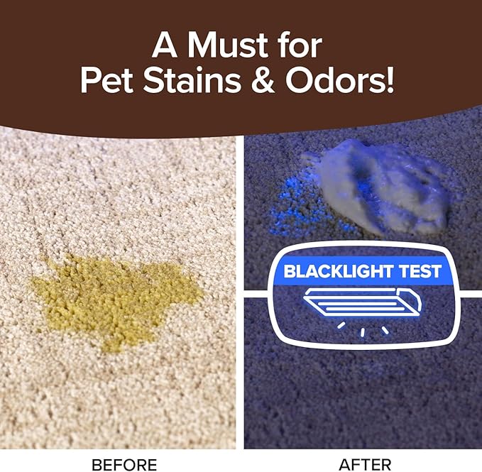 Horsepower Bull Shot Carpet Spot & Stain Remover by Horsepower, AS SEEN ON TV, Made In USA, Just Point & Spray, Stain-Lifting Foam-Action, Pet Stains & Odors, Coffee, Soda, Wine, Stains, 2 Pack