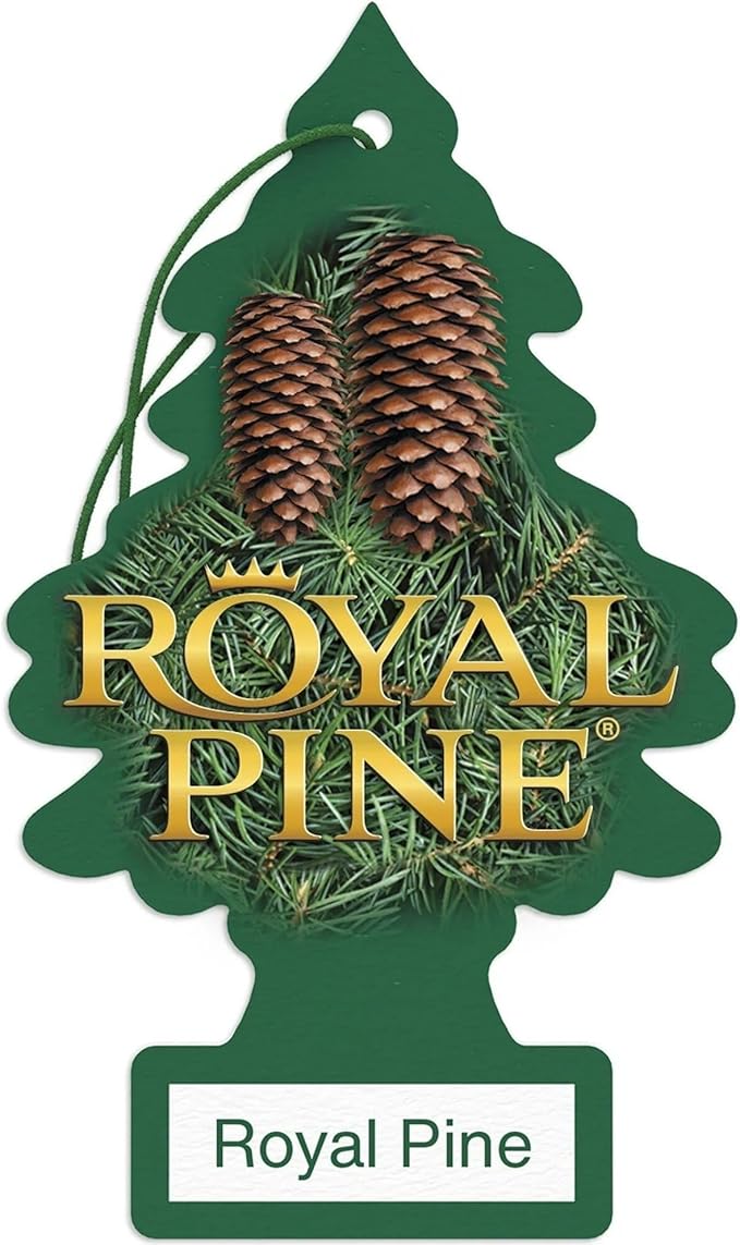 LITTLE TREES Car Air Freshener | Hanging Paper Tree for Home or Car | Royal Pine | 6 Pack