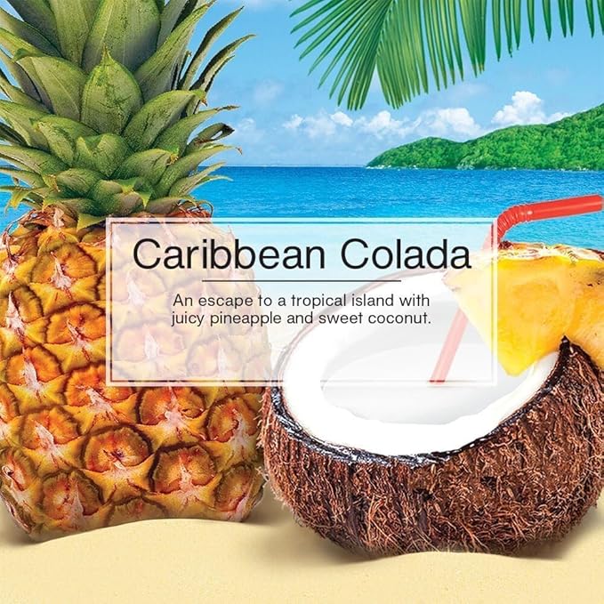 LITTLE TREES Car Air Freshener | Hanging Paper Tree for Home or Car | Caribbean Colada | 12 Pack