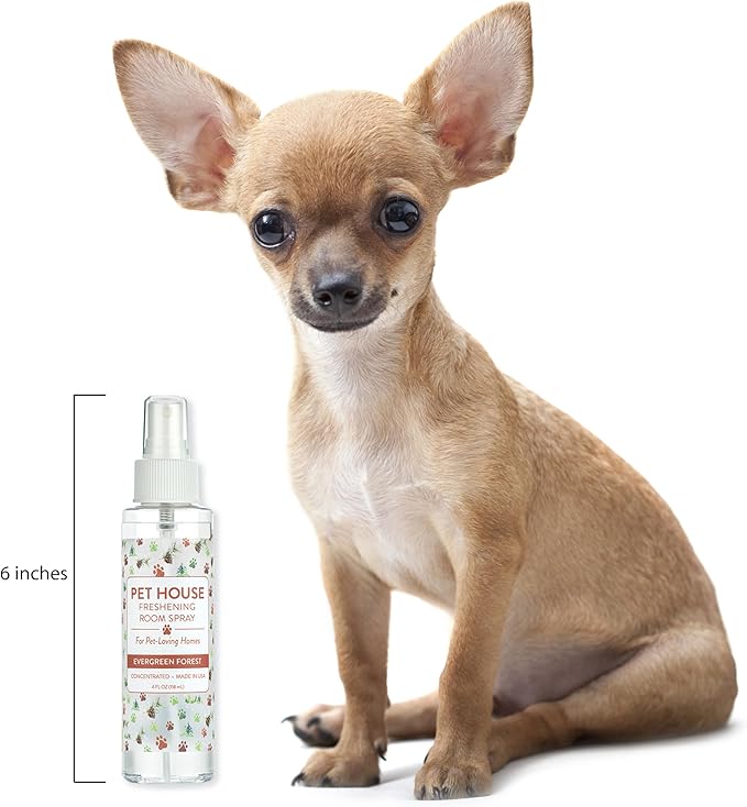 One Fur All Room Spray for Pet Odor, 4 OZ Concentrated Pet Friendly Air Freshener, Evergreen Forest Pack of 2