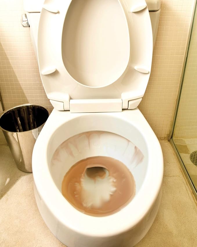 IRON OUT Automatic Toilet Bowl Cleaner Tablets, 12 Tablets