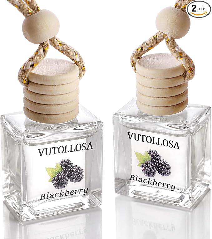 2-Pack Car Air Fresheners, Car Deodorizer, Blackberry Scented Air Freshener – Long Lasting Hanging Car Air Freshener for Men and Women, Car Scent Diffuser by VUTOLLOSA