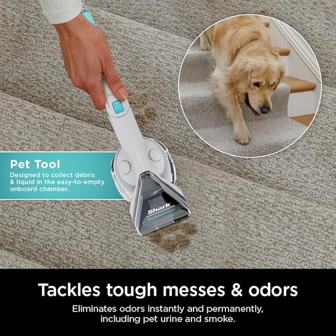 Shark R- EX201 CarpetXpert Upright Carpet, Area Rug & Upholstery Cleaner with StainStriker, Cyan - (Renewed)
