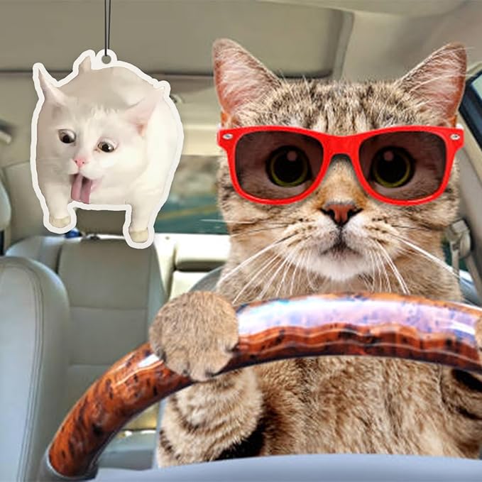 6Pcs Funny Car Air Freshener for Women Girls Men Cute Freshener Ornaments Cat Meme Funny Car Hanging Accessories