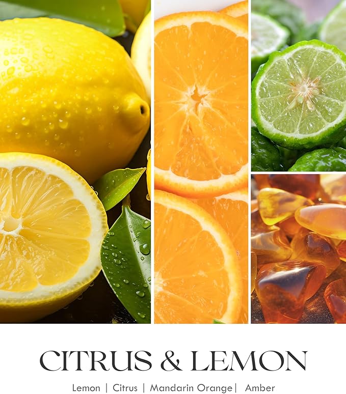 AOOVOO Citrus Lemon Odor Eliminating Candle - 3 Wick 12oz Long Lasting Highly Fragranced Candle, Eliminates 95% of Smoke, Food, Pet and Other Smells Quickly, Large Air Freshing Soy Candles