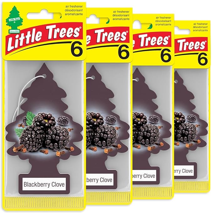 LITTLE TREES Car Air Freshener | Hanging Tree Provides Long Lasting Scent for Auto and Home | 24 Air Fresheners |Blackberry Clove