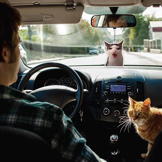 6Pcs Funny Car Air Freshener for Women Girls Men Cute Freshener Ornaments Cat Meme Funny Car Hanging Accessories