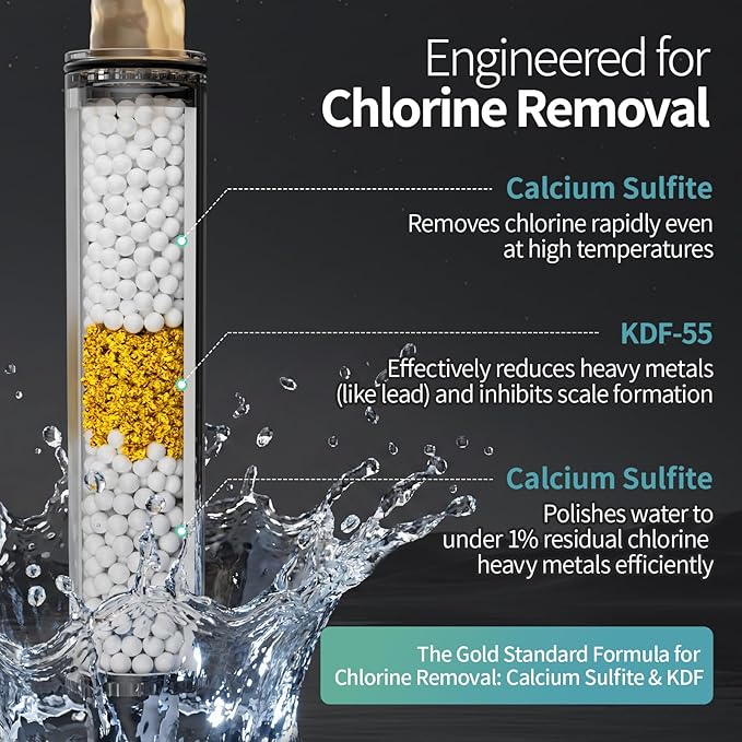SR SUN RISE NSF Filtered Shower Head with Handheld High Pressure 9-Spray Settings Power Wash Detachable Filter for Hard Water Removes Chlorine (Chrome Silver, 4.9inch)