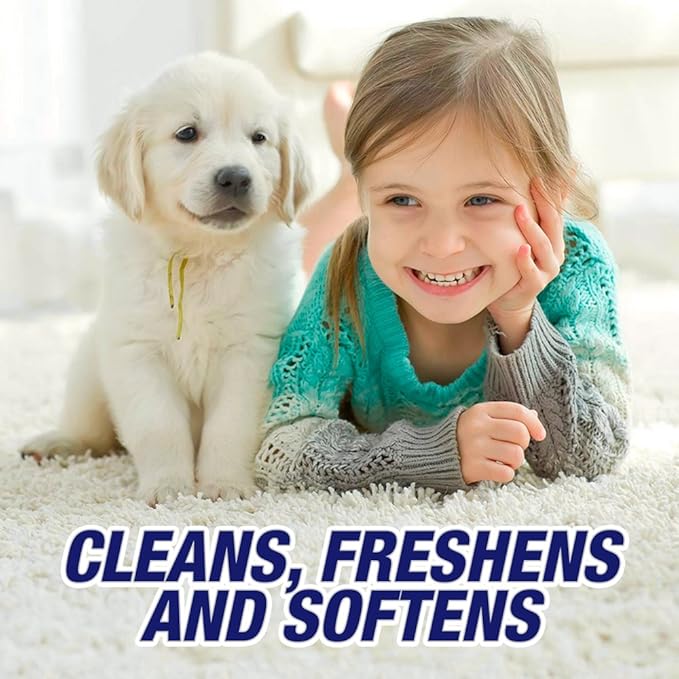 Resolve Carpet High Traffic Foam, 22-Ounce (Pack of 12)