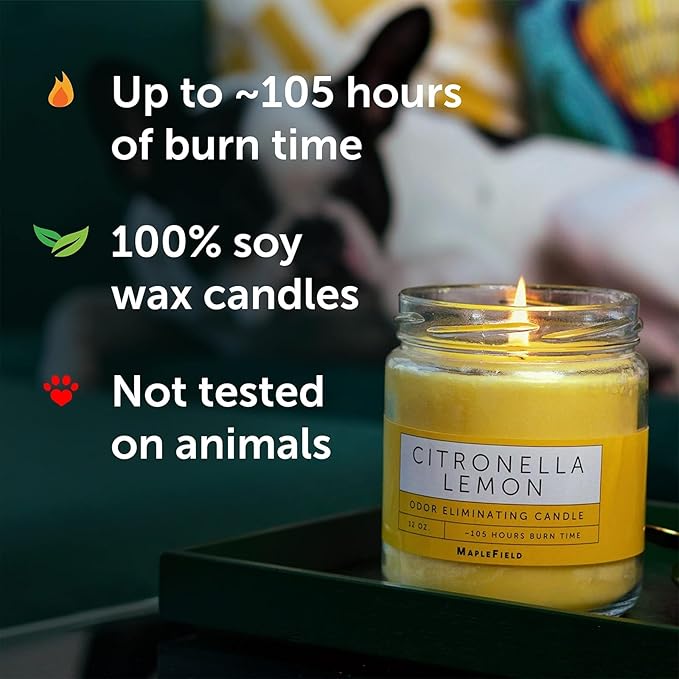 Maplefield Citronella Smoke Eliminator Scented Candle - Cooking & Kitchen Odor Neutralizer - Pet Odor Eliminator Home Freshener - Car Air Freshener & Room Deodorizer - 1 Oz, Yellow