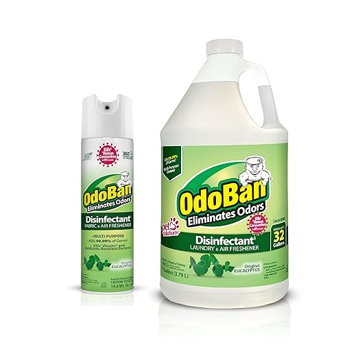 OdoBan Ready-to-Use Disinfectant and Odor Eliminator, Set of 2, 14.6 Ounce 360-Degree Continuous Spray Air Freshener and 1 Gallon Multi-Purpose Cleaning Concentrate, Original Eucalyptus Scent