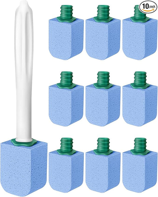 Dukars 10 Packs Pumice Stone Toilet Bowl Cleaner with Long Handle, Heavy Duty Toilet Hard Water Stain Remover,Best Toilet Bowl Cleaner (10, Blue)