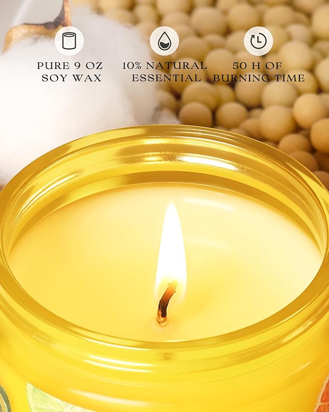 AOOVOO 2 Pack Lemon Citrus Pet Odor Eliminating Highly Fragranced Candle - Eliminates 95% of Pet, Smoke, Food, and Other Smells Quickly, Air Freshing Soy Candle