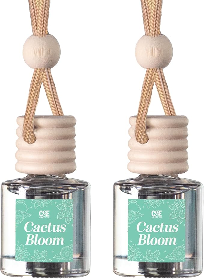 CANDECraftCo Car Air Hanging Fragrance Oil, Car Auto Freshener for Essential Oils, Scents Fragrance Aromatherapy Automobile Diffuser, Long Lasting (Cactus Bloom)
