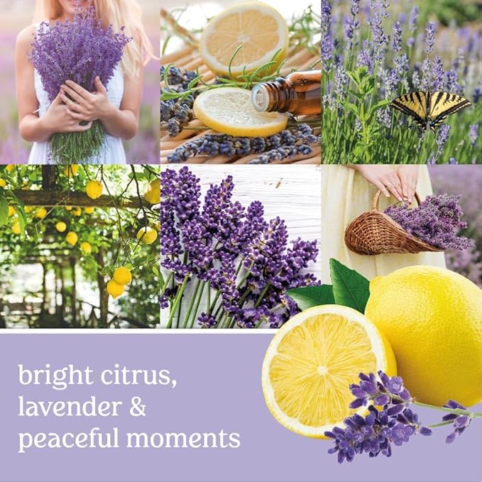 Yankee Candle Smart Scent Auto Vent Clip Car Air Freshener, Lemon Lavender (Pack of 6)