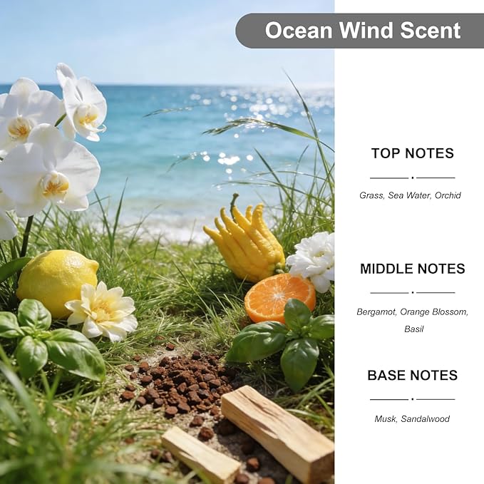 2-Pack Car Air Fresheners, Car Deodorizer, Ocean Wind Air Freshener – Long Lasting Hanging Car Air Freshener for Men and Women, Car Scent Diffuser by VUTOLLOSA