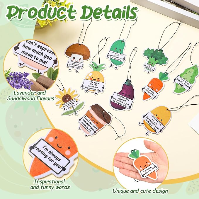 30 Pcs Positive Car Air Fresheners Bulk Employee Appreciation Gift Funny Car Hanging Ornament Scented Incense Chip Dietician Appreciation Gifts for Driver Staff Teacher Nurse Team, 10 Styles